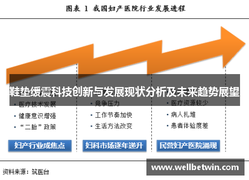 鞋垫缓震科技创新与发展现状分析及未来趋势展望